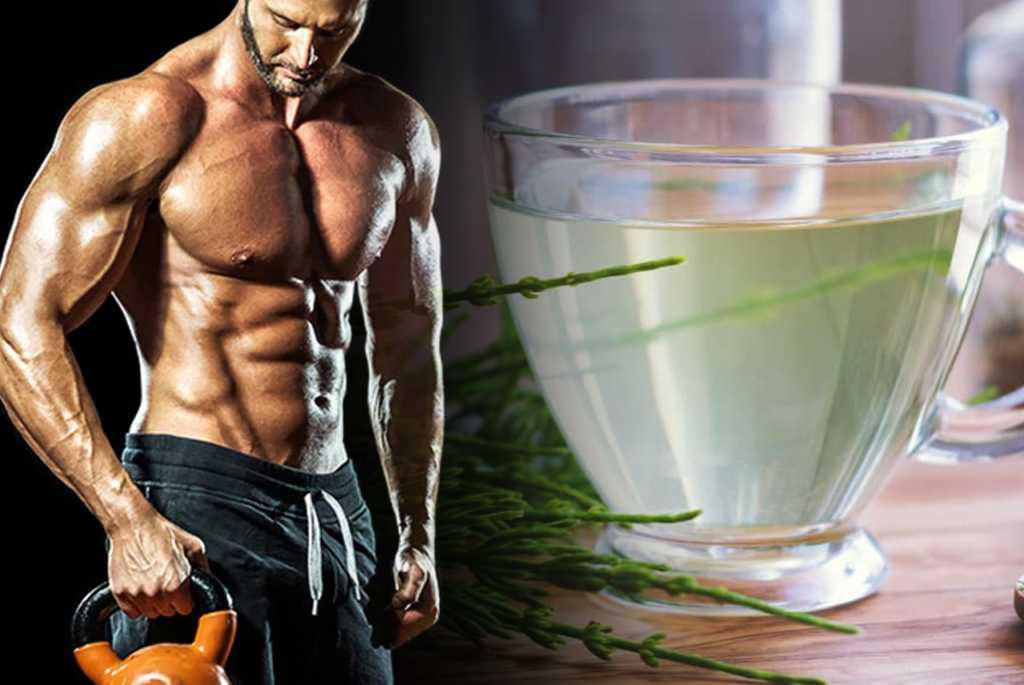 Cola de Caballo: Un Diuretico Natural