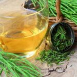 Cola de Caballo: Un Diuretico Natural