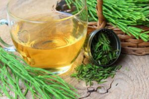 Cola de Caballo: Un Diuretico Natural