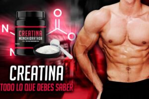 ¿Que es la Creatina?: Sus Beneficios y Efectos Secundarios