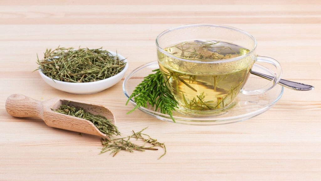 Cola de Caballo: Un Diuretico Natural